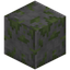 Polished Mossy Stone Bricks
