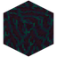 Warped Hyphae