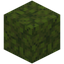 Crunchy Moss Block
