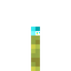 Wet Sponge Soul Torch