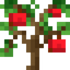Apple Sapling
