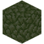Prismarine