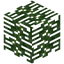 Pandanus Leaves