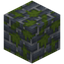 Mossy Blue Bricks