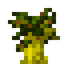 Grandidiers Baobab Sapling