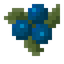 Blueberry
