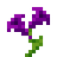 Mystical Purple Flower