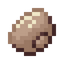 Clam
