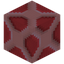 Zoea Variant 12