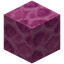 Brain Coral Block