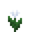 Celestial Bloom