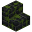 Mossy Dusk Brick Stairs