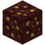 Nether Gold Ore