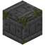 Sad Mossy Stone Bricks