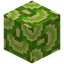 Waved Lime Glazed Terracotta