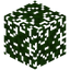 Cypress Leaves