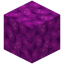 Bubble Coral Block