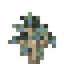 Juniper Sapling
