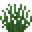 Steppe Shrub