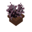 Cherry Sapling Pot