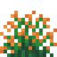 Orange Snowbelle