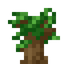 Dark Oak Sapling