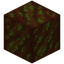 Glimmering Stripped Livingwood