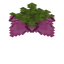 Spore Blossom