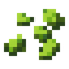Hops Seeds
