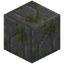 Prismal Mossy Stone Bricks Remnants