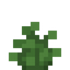 Lush Fern