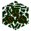 Orange Leaves