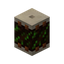 Drum of the Canopy