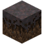 Mycelium