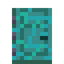 Dual Paneled Warped Door
