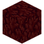 Seared Nether Wart Block