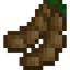 Tamarind Fruit