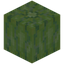 Sticky Melon