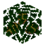 Lemon Leaves