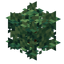 Small Bush