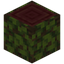 Overgrown Mangrove Log