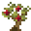 Apple Tree Sapling