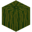 Melon
