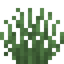Steppe Grass