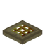 Golden Barred Birch Trapdoor