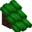 Lime Roof (Mangrove)