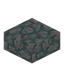 Mossy Holystone Slab