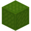Harsh Quilted Lime Wool