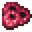 Raspberry