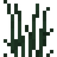 Tall Grass